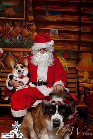 santa-photos-internet-149