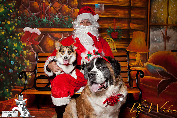 santa-photos-internet-151