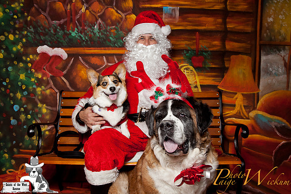 santa-photos-internet-152