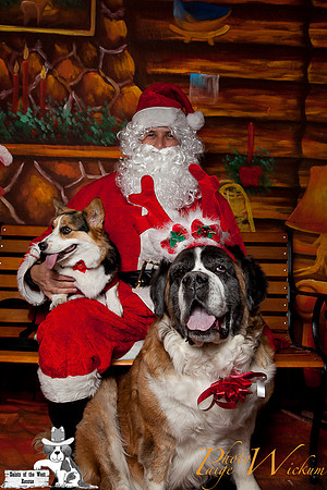 santa-photos-internet-153