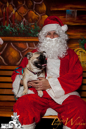 santa-photos-internet-154
