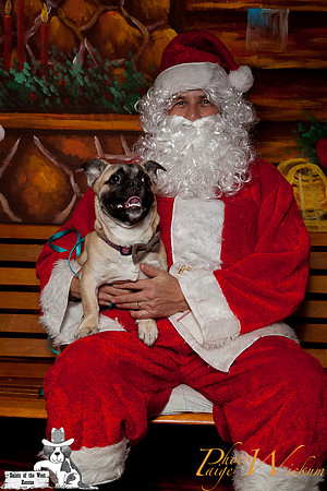 santa-photos-internet-155