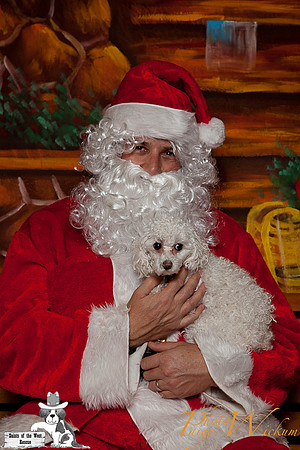 santa-photos-internet-173