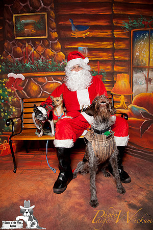 santa-photos-internet-187