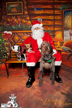santa-photos-internet-188
