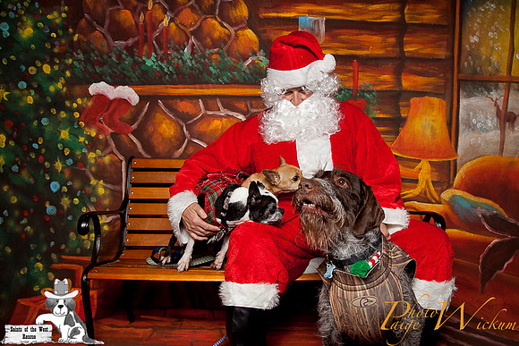 santa-photos-internet-189