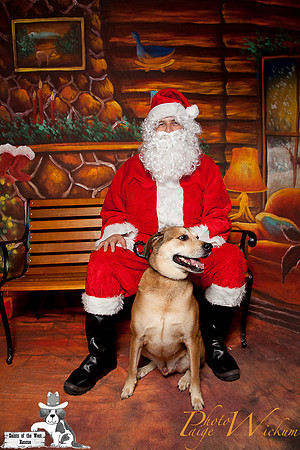 santa-photos-internet-202