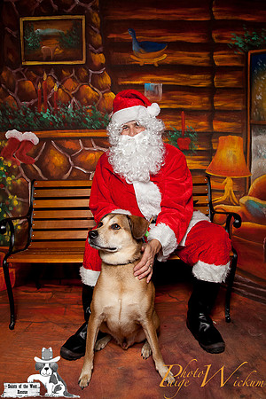 santa-photos-internet-203