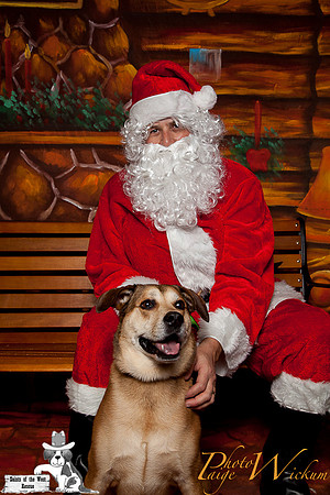 santa-photos-internet-204
