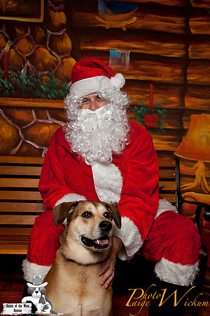 santa-photos-internet-205