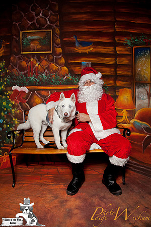santa-photos-internet-217