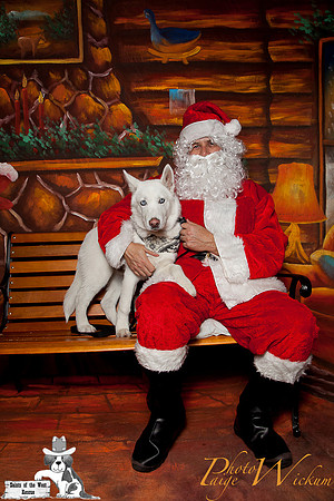 santa-photos-internet-219