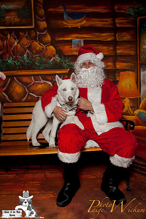santa-photos-internet-220