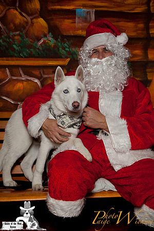 santa-photos-internet-221