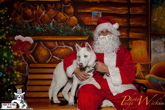 santa-photos-internet-222