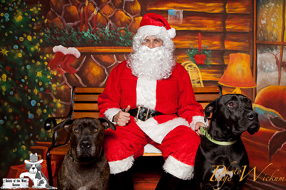 santa-photos-internet-224