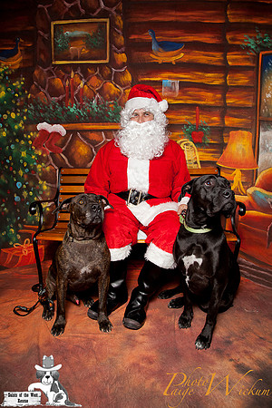 santa-photos-internet-225