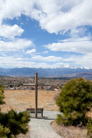CO-3