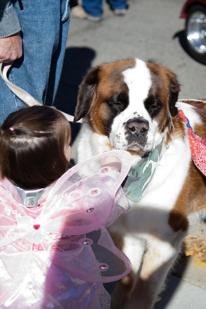 SaintsParade2013-26
