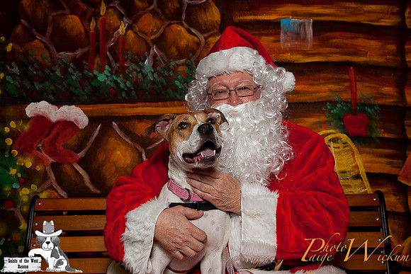 santa-photos-internet-116