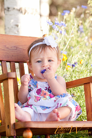 hadley-internet-4