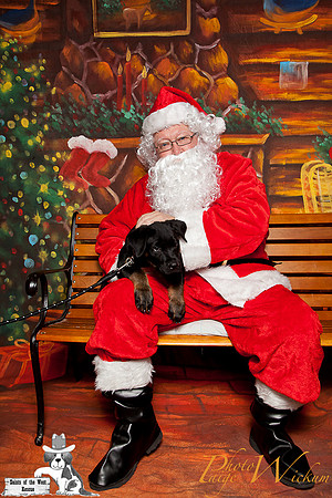 santa-photos-internet-122