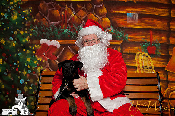 santa-photos-internet-126