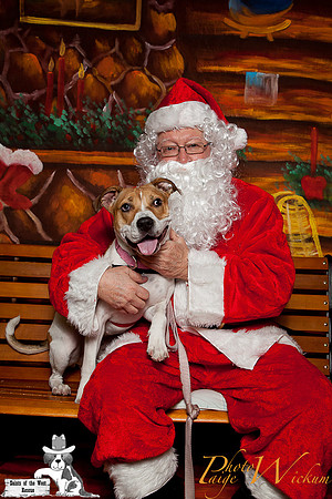 santa-photos-internet-114