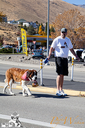 SaintsParade2013_internet-89