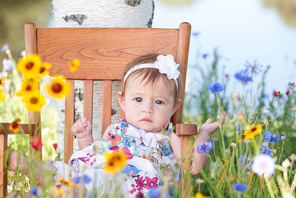 hadley-internet-9