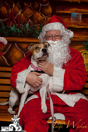 santa-photos-internet-115