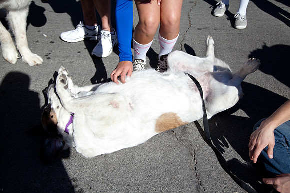 SaintsParade2013-29
