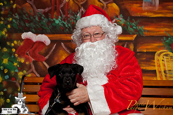 santa-photos-internet-127