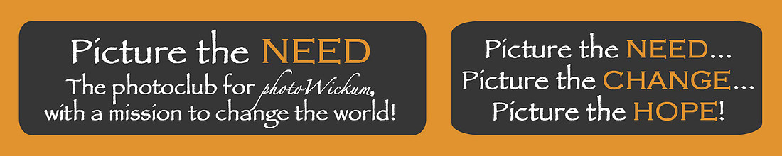 picturetheneedbanner