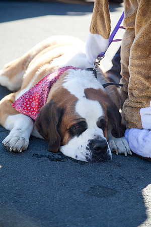 SaintsParade2013-21