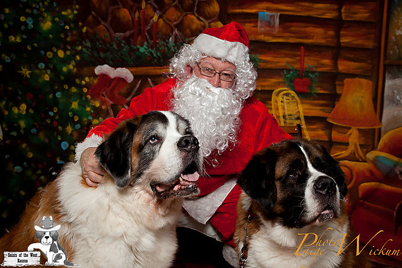santa-photos-internet-54