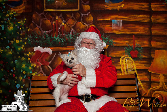santa-photos-internet-15
