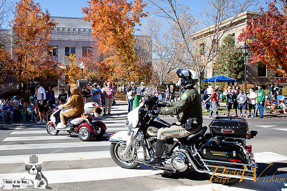 SaintsParade2013_internet-70