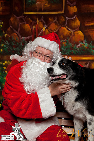 santa-photos-internet-79