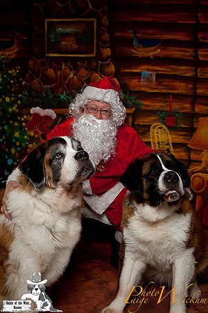 santa-photos-internet-52