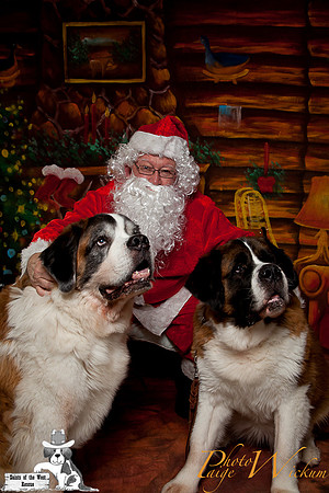 santa-photos-internet-53