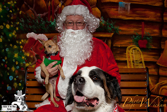 santa-photos-internet-84