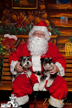 santa-photos-internet-4