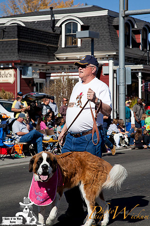 SaintsParade2013_internet-45