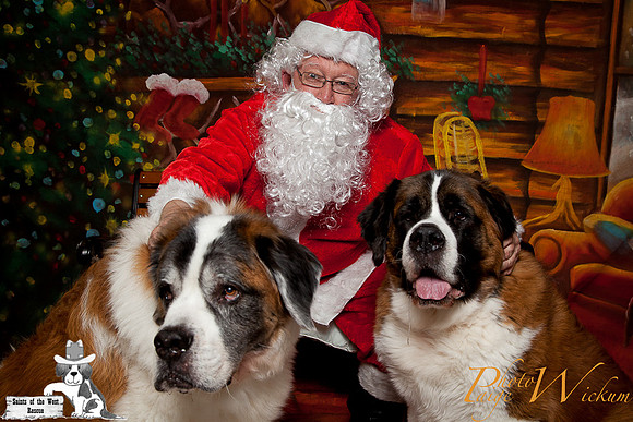 santa-photos-internet-47