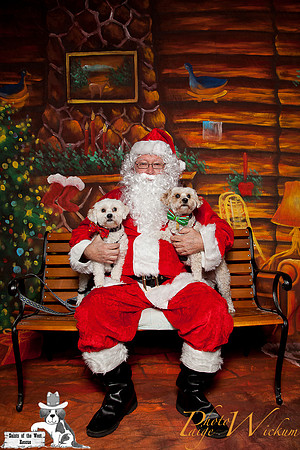 santa-photos-internet-7