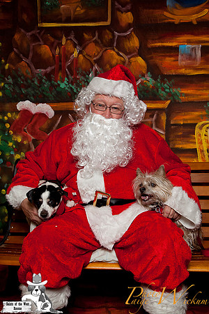 santa-photos-internet-70