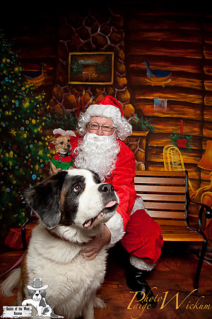 santa-photos-internet-80