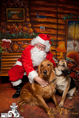 santa-photos-internet-36