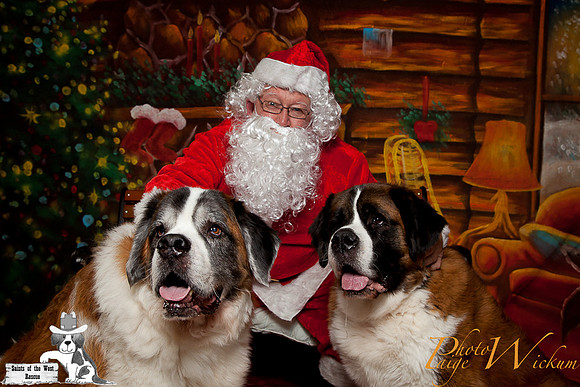 santa-photos-internet-48